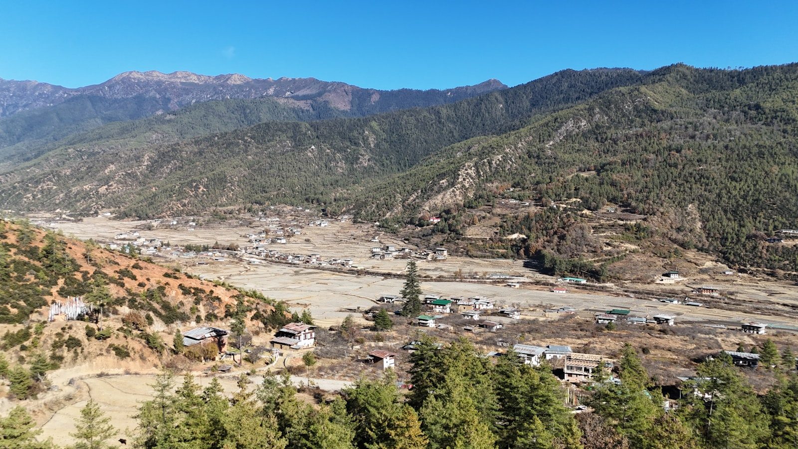Paro valley in Bhutan with traditional farmhouses and pine forest below the Himalayan foothills